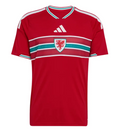 Maglia Galles Home 26/27
