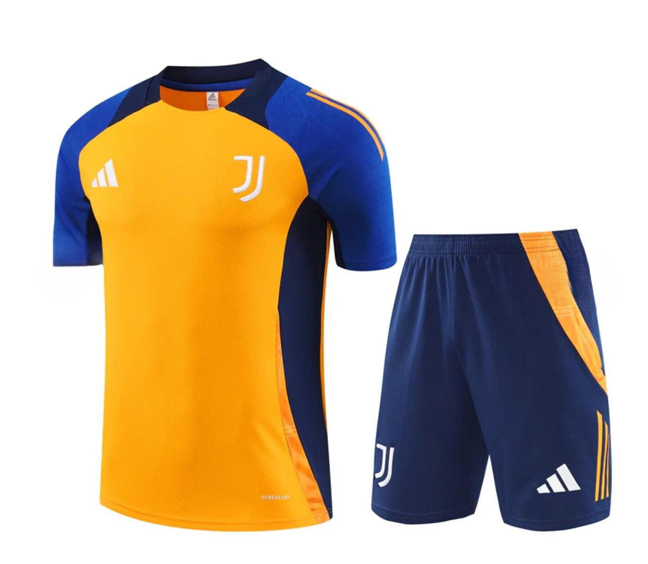 Conjunto de Treino Juventus 2024/25